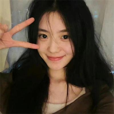 智叻狗仔队